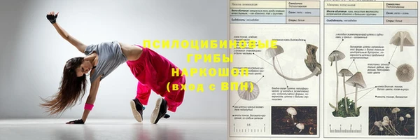 стафф Карталы