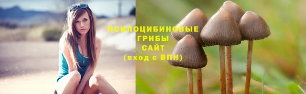 героин Касимов