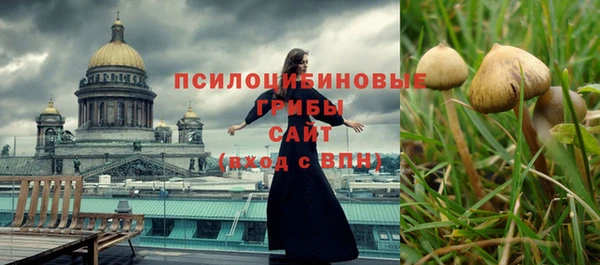 стафф Карталы